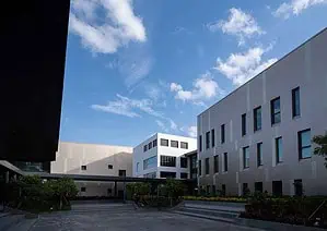 Courtyard in the School